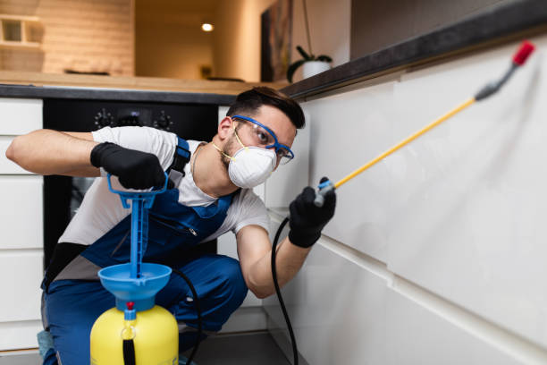 Best Mosquito Control Services  in Garfield, NJ