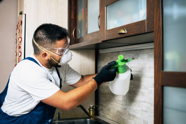 Best Pest Control Near Me  in Garfield, NJ