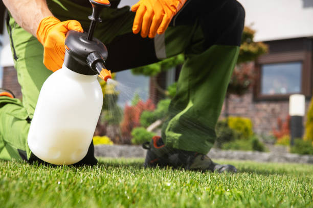 Best Affordable Pest Control Services  in Garfield, NJ