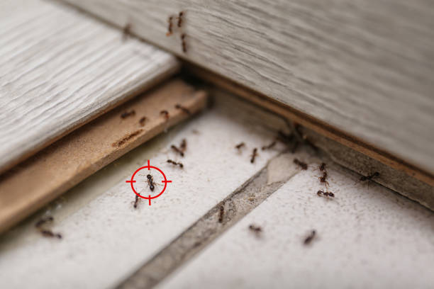 Best Pest Prevention Services  in Garfield, NJ