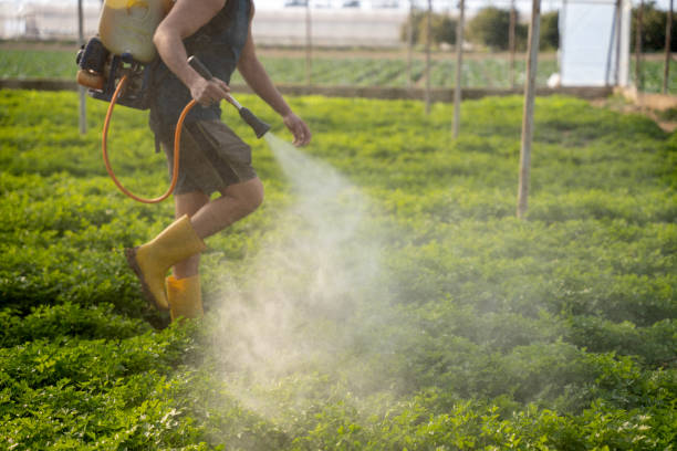 Pest Prevention Services in Garfield, NJ