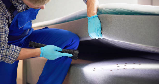 Best Pest Inspection Near Me  in Garfield, NJ