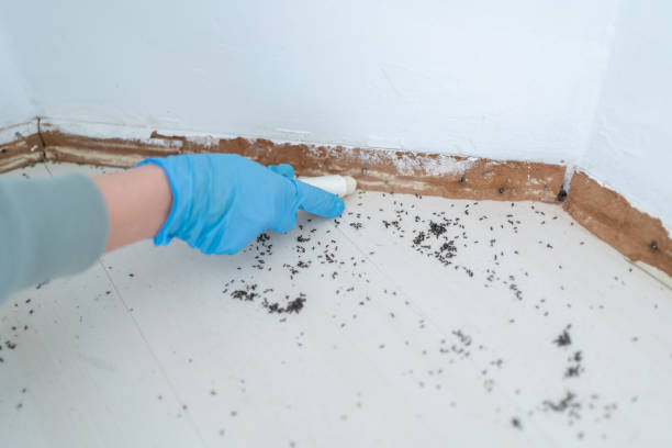 Trusted Garfield, NJ Pest Control Experts