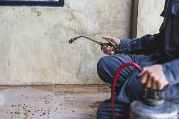 Best Best Pest Control Companies  in Garfield, NJ