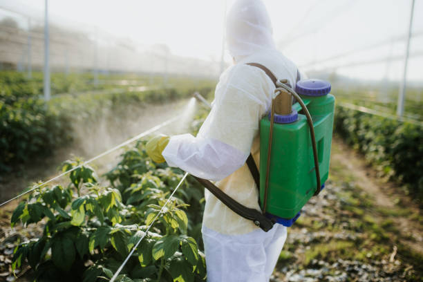 Best Best Pest Control Near Me  in Garfield, NJ